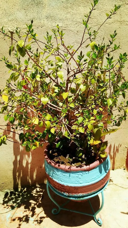 Riad 63 Marrakesh